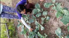 20131124 Organic Farm32